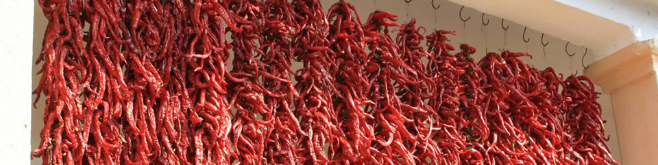 Kopačevo Turistička zajednica općine Bilje