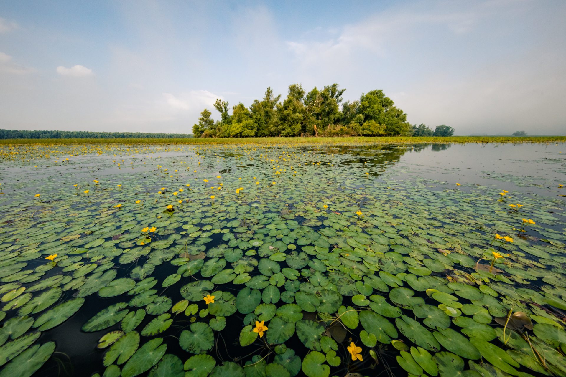 Park prirode Kopački rit - Turistička zajednica općine Bilje